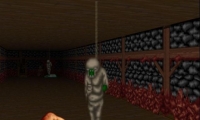 Splatterhouse 3D