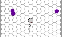 Swarm 2