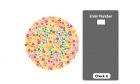 Color Vision Test