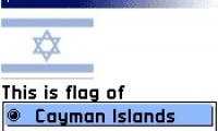 World Flags
