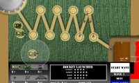 Crop Circles