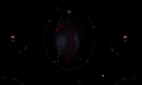 Rebirth