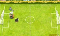 Pet Soccer