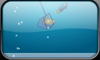 Aquarium Scoop Hotshot