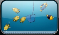 Aquarium Scoop Hotshot