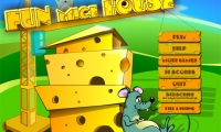 Fun Mice House