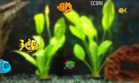 Robotic Fishy
