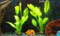 Robotic Fishy