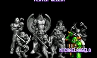 Teenage Mutant Ninja Turtles - Tournament Fighters