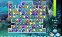 Ocean Princess Puzzle