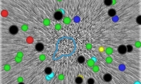 Amorphous Amoeba
