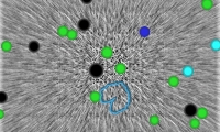 Amorphous Amoeba