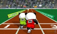Panda Olympics