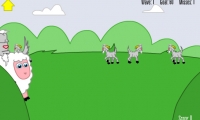 Sheep go to Heaven