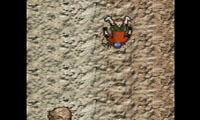 Depth Jumps