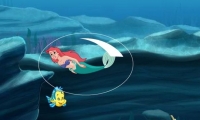 Secret Sea Collection 