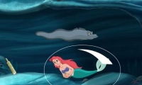 Secret Sea Collection 