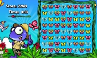 Butterfly Zamba