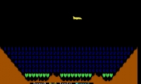 Bomb Run
