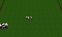 Got Moo