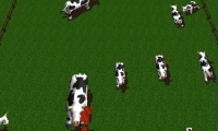 Got Moo