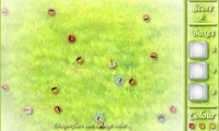 Color Bugs