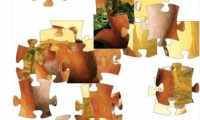 Ice Age Diego Jigsaw Puzzle