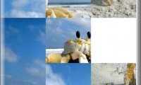 Broken Crab