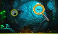 Hidden Colorful Bugs