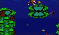 Donkey Kong Island 2