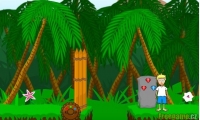 Jungle Fun