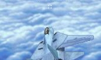 Tomcat Dogfight