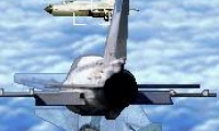 Tomcat Dogfight