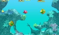 Fish Tales
