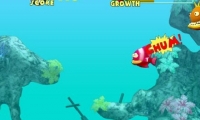 Fish Tales