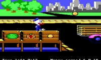 Donald Duck's Playground