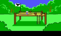 Donald Duck's Playground