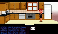 Maniac Mansion Mania – 44