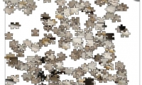 Jigsaw: Giant Ant