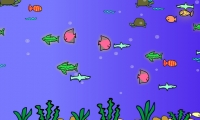 Disco Fish