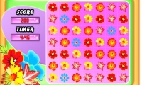 Flower Frenzy