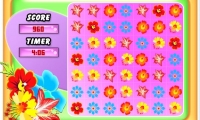 Flower Frenzy