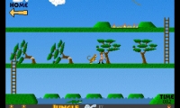 Jungle Trouble PC