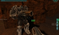 Tribes 2