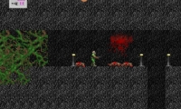 Doom 2D