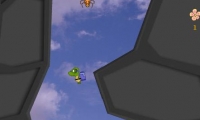 Turtle Flight