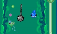Plankton Life