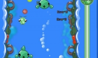 Plankton Life