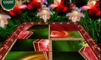 Night Fairy Puzzles