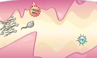 Baby Mama-Destination Insemination